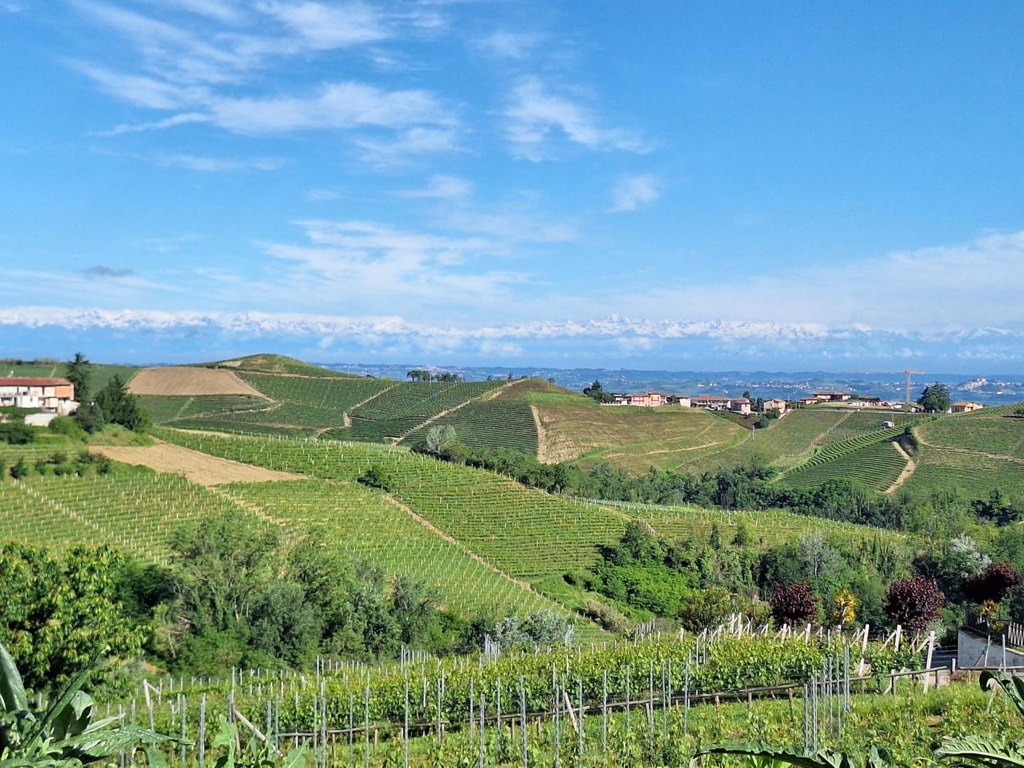 Agriturismo Ca Trinche Camo Екстериор снимка