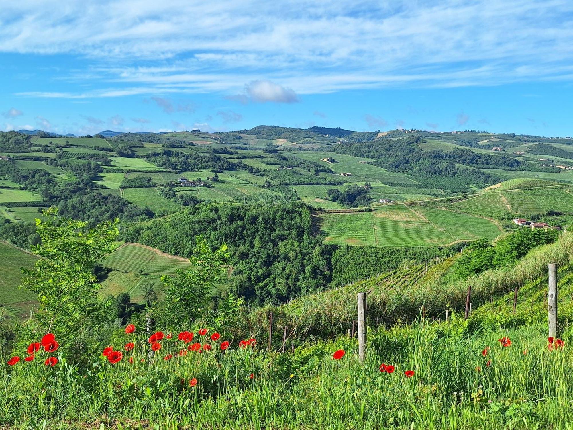 Agriturismo Ca Trinche Camo Екстериор снимка